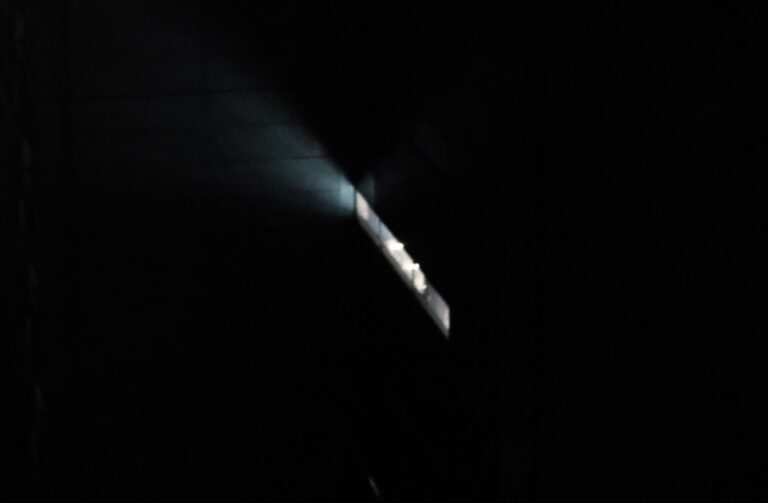 「っぽい」ことが求められている。